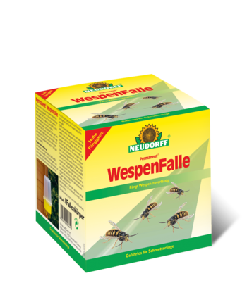 Permanent Wespen Falle