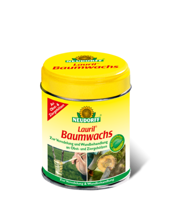 Lauril Baumwachs   250 g Dose