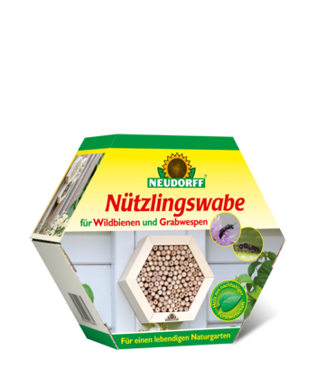 Nützlingswabe für Wildbienen und Grabwespen