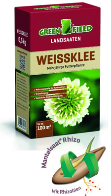 Weißklee  0,5 Kg
