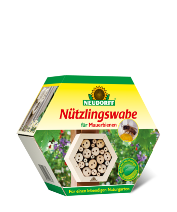 Nützlingswabe für Mauerbienen